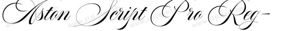 Aston Script Pro Reg字体转换
